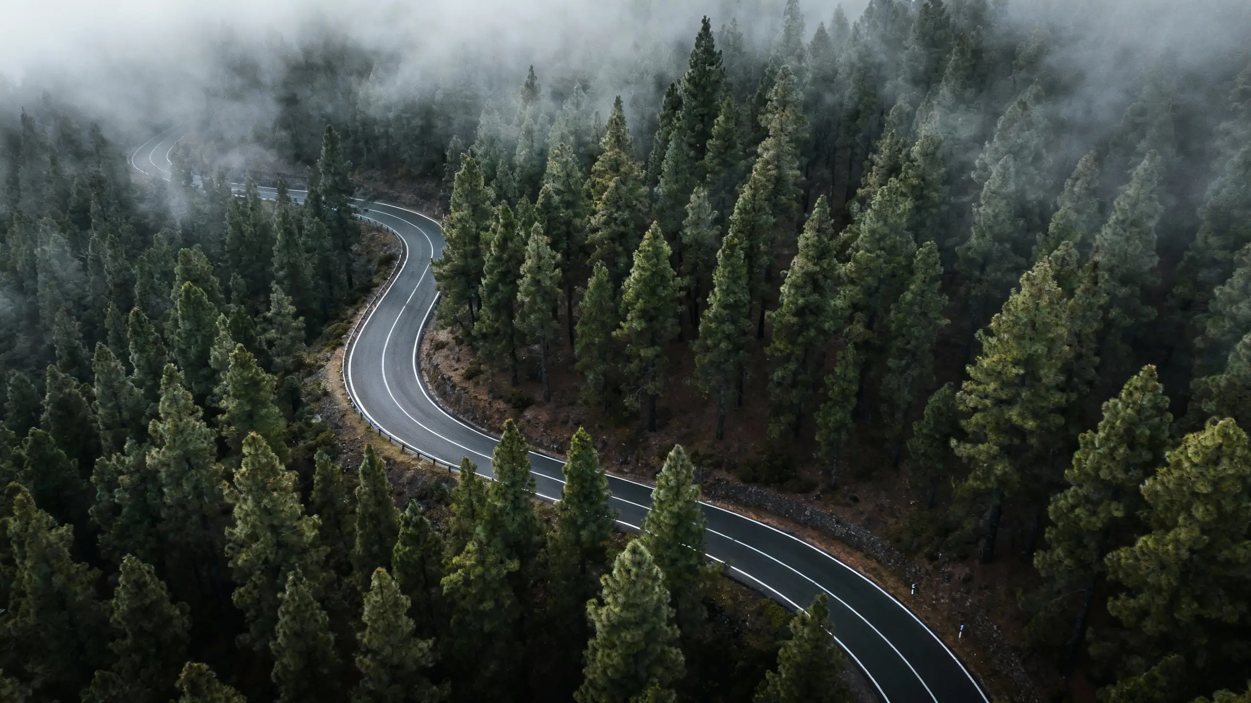 Route de montagne Tenerife